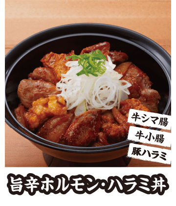 旨辛ホルモン・ハラミ丼