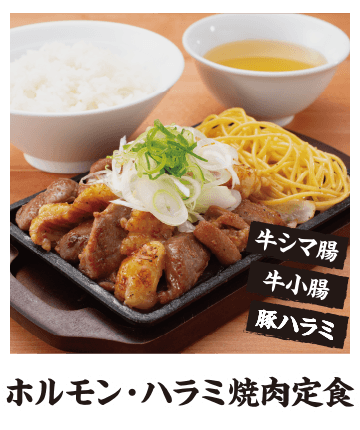 ホルモン・ハラミ焼肉定食